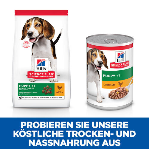 Hill's Puppy Medium mit Huhn Hundefutter