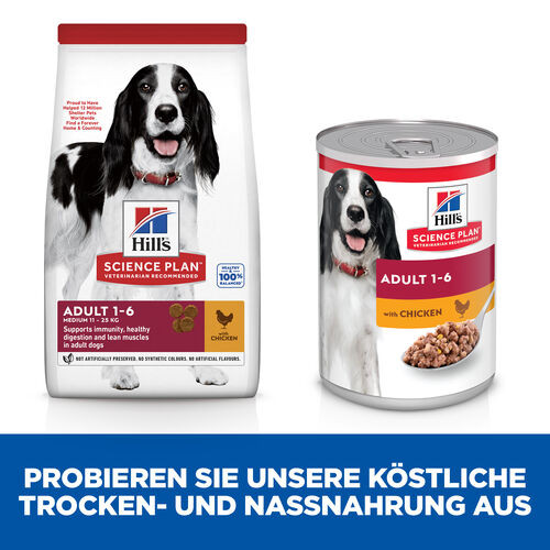 Hill's Adult Medium Huhn Hundefutter