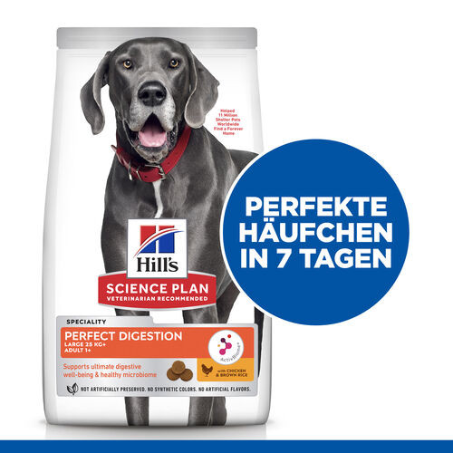 Hill's Adult Perfect Digestion Large mit Huhn & braunem Reis Hundefutter