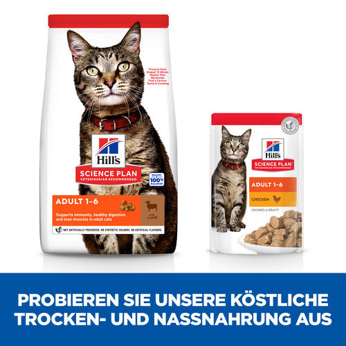 Hill's Adult mit Lamm Reis Katzenfutter