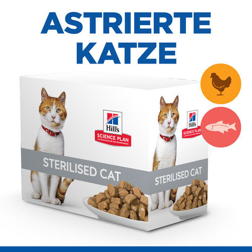 Hill's Healthy Cuisine Adult Sterilised Ragout mit Huhn & Gemüse, mit Lachs & Gemüse Multipack Katze