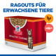 Hill's Healthy Cuisine Adult Sterilised Ragout mit Huhn & Gemüse, mit Lachs & Gemüse Multipack Katze