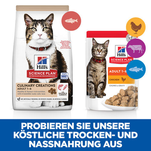 Hill's Culinary Creations Adult Katzenfutter mit Lachs und Karotte