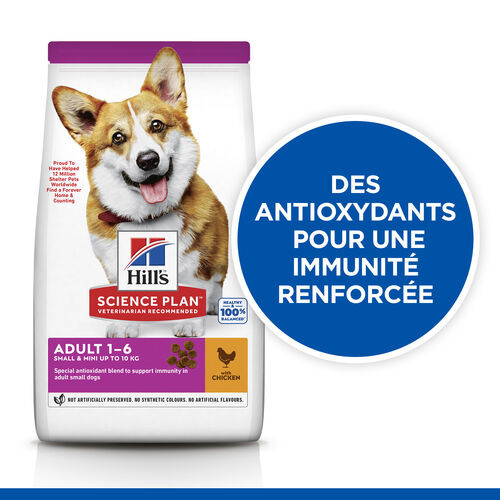 Hill’s Adult Small & Mini au poulet pour chien