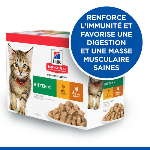 Hill's Poultry Selection combi au poulet et dinde pour chaton