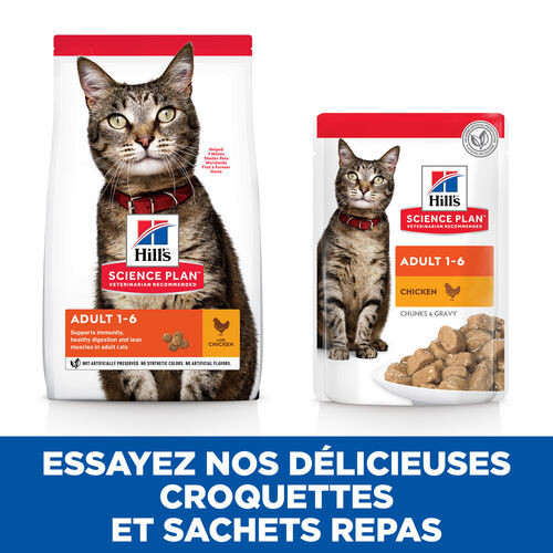 Hill's Adult pâtée pour chat au poulet (85 g)