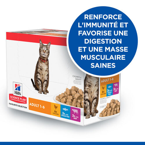 Hill’s  Adult Favourite Selection multipack pâtée pour chat 85g