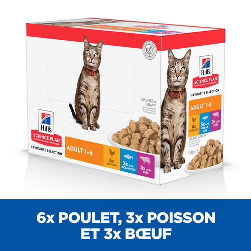 Hill’s  Adult Favourite Selection multipack pâtée pour chat 85g