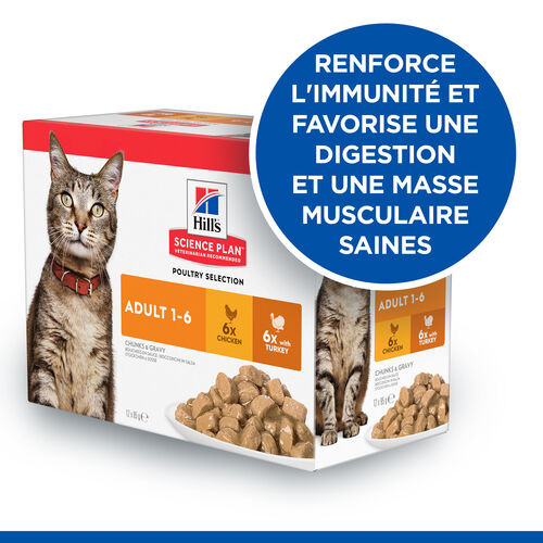 Hill’s Adult Poultry Selection Combi pâtée pour chat