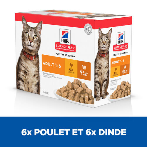 Hill’s Adult Poultry Selection Combi pâtée pour chat