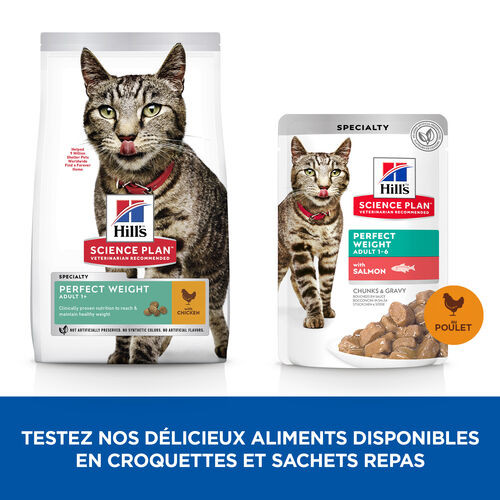 Hill’s Adult Perfect Weight au poulet pour chat