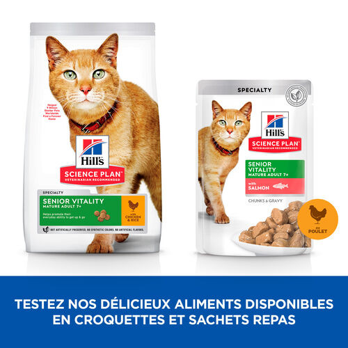 Hill's Mature Adult Senior Vitality pâtée pour chat combipack 12x85g