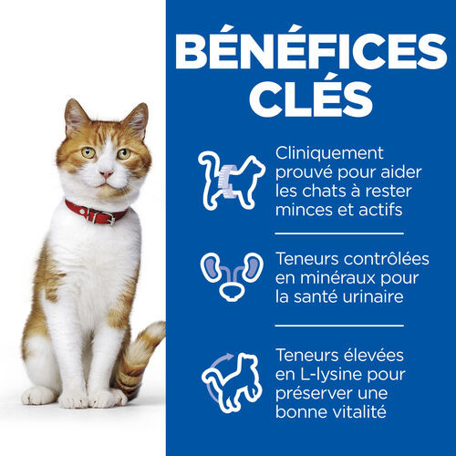 Hill’s Adult Sterilised Multipack pour jeune chat