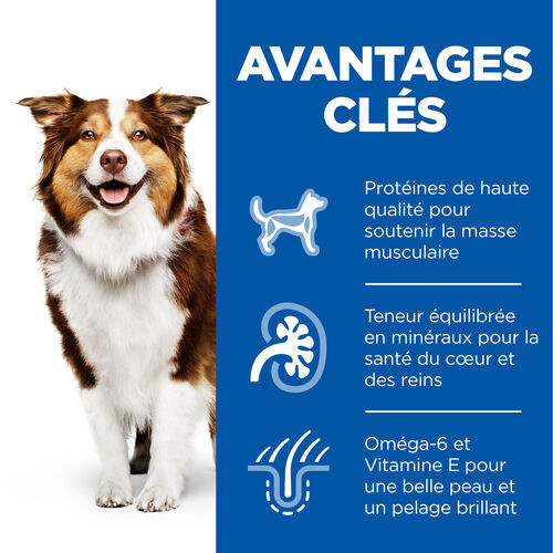 Hill's Mature Adult Medium au poulet pour chien