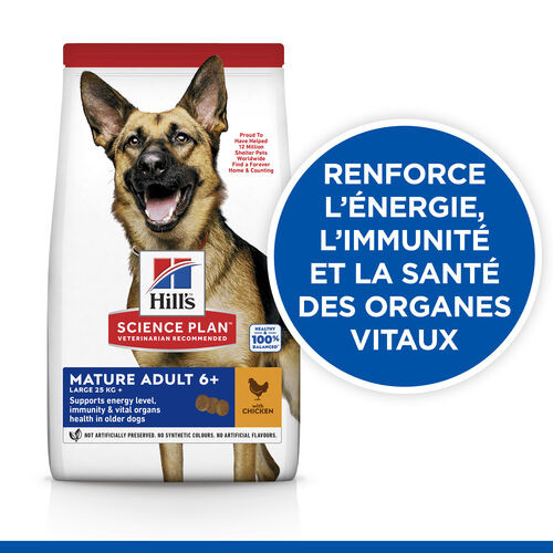 Hill's Mature Adult Large Breed au poulet pour chien