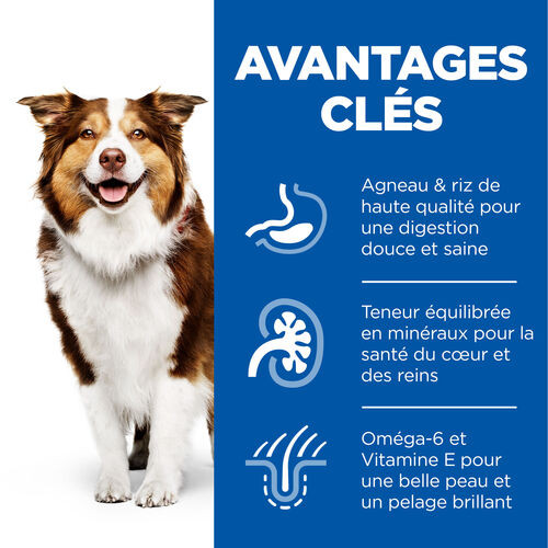 Hill's Mature Adult Medium à l'agneau et riz pour chien