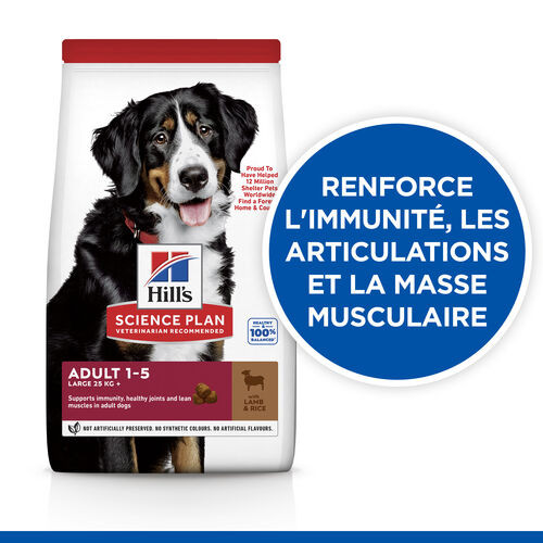 Hill's Adulte Large Breed agneau pour chien