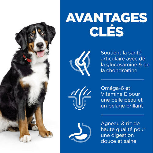 Hill's Adulte Large Breed agneau pour chien