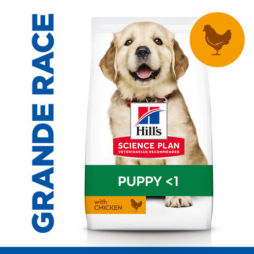 Hill's Puppy Large Breed au poulet pour chiot