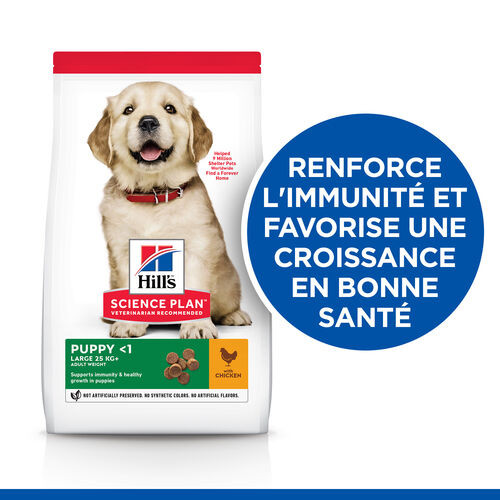 Hill's Puppy Large Breed au poulet pour chiot