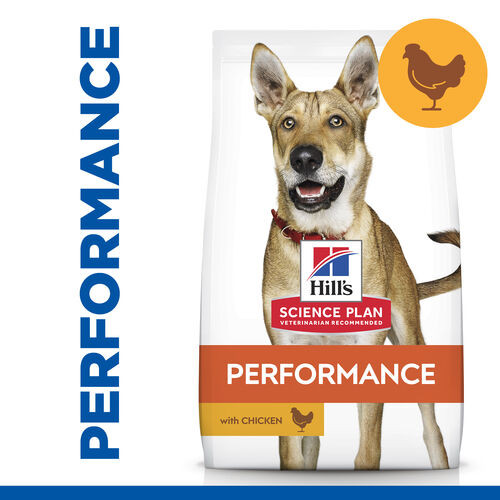 Hill's Adult Performance au poulet pour chien