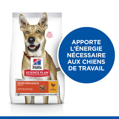 Hill's Adult Performance au poulet pour chien