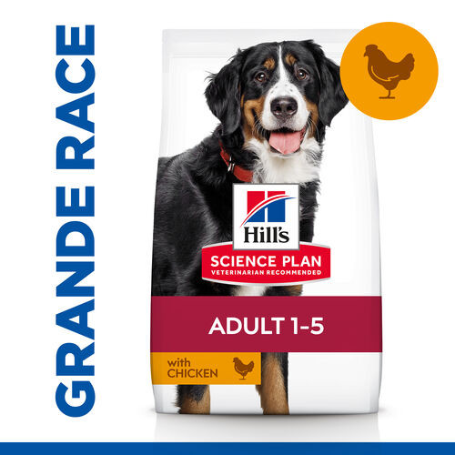 Hill's Adult Large Breed au poulet pour chien