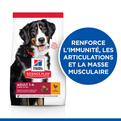 Hill's Adult Large Breed au poulet pour chien