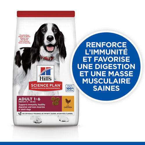 Hill's Adult Medium au poulet pour chien