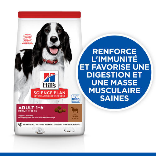 Hill's Adult Medium agneau pour chien