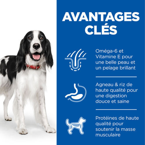 Hill's Adult Medium agneau pour chien