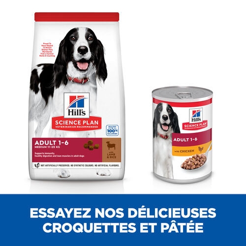 Hill's Adult Medium agneau pour chien