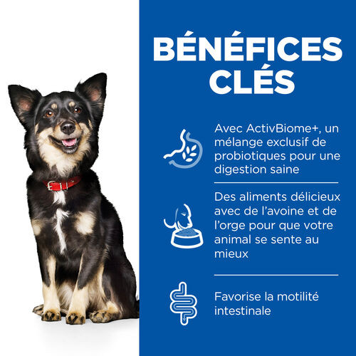 Hill's Adult Perfect Digestion Small&Mini au poulet & riz brun pour chien