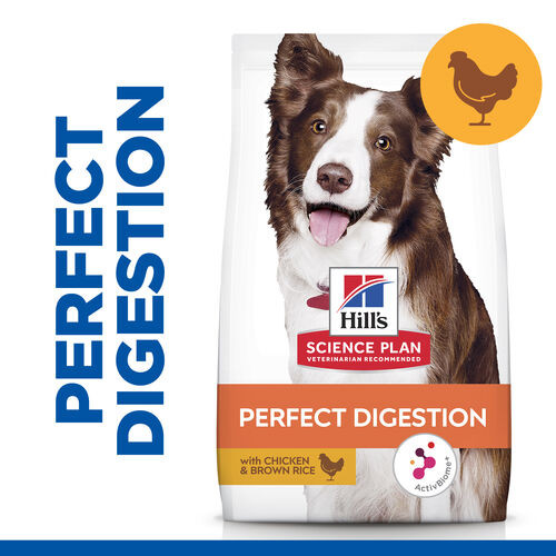 Hill's Adult Perfect Digestion Medium au poulet & riz brun pour chien