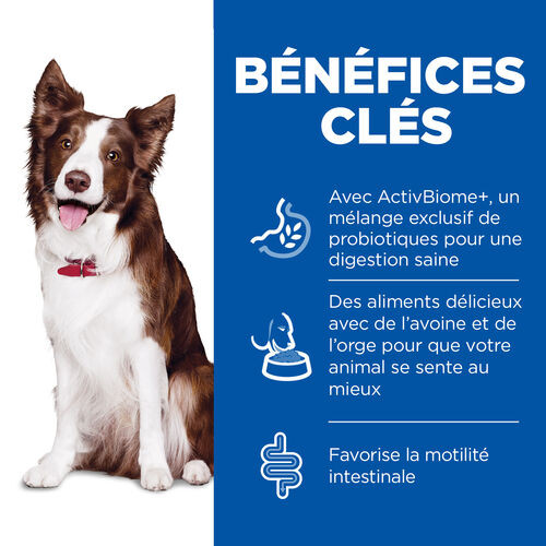 Hill's Adult Perfect Digestion Medium au poulet & riz brun pour chien