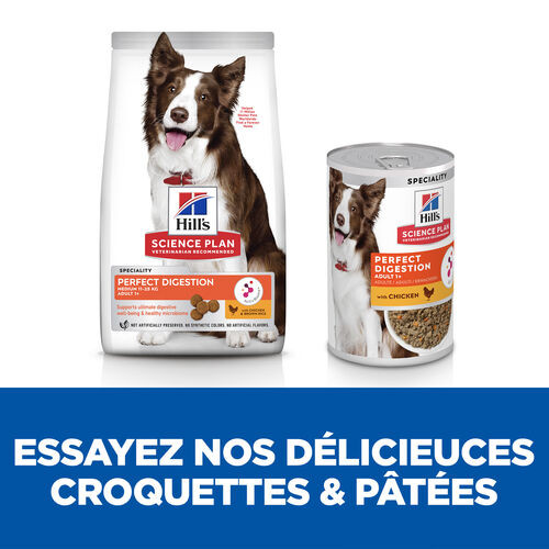 Hill's Adult Perfect Digestion Medium au poulet & riz brun pour chien