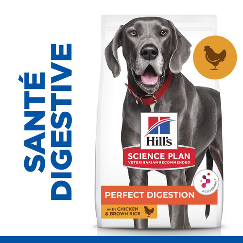 Hill's Adult Perfect Digestion Large au poulet & riz brun pour chien