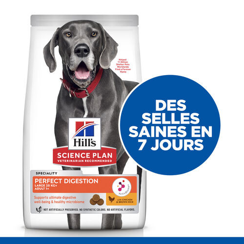 Hill's Adult Perfect Digestion Large au poulet & riz brun pour chien