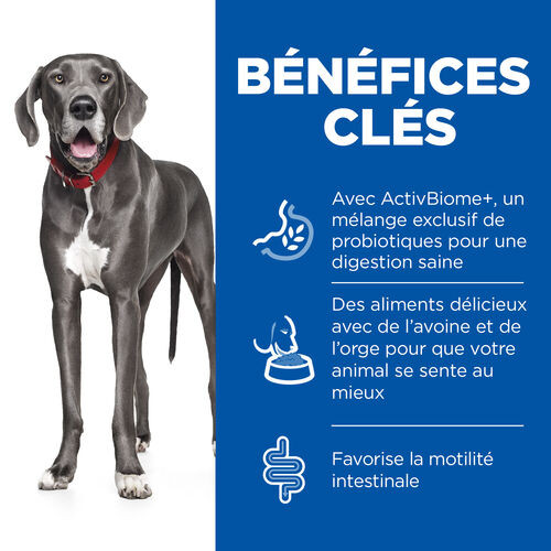 Hill's Adult Perfect Digestion Large au poulet & riz brun pour chien