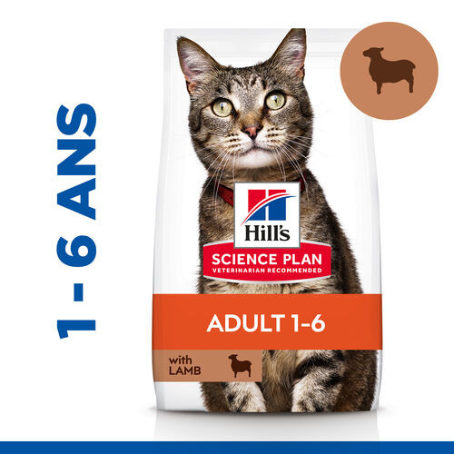 Hill's Adult à l'agneau et au riz pour chat