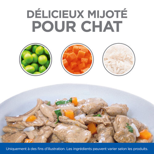 Hill's Healthy Cuisine Kitten mijoté au poulet et aux légumes, au poisson de mer et aux légumes multipack pour chaton