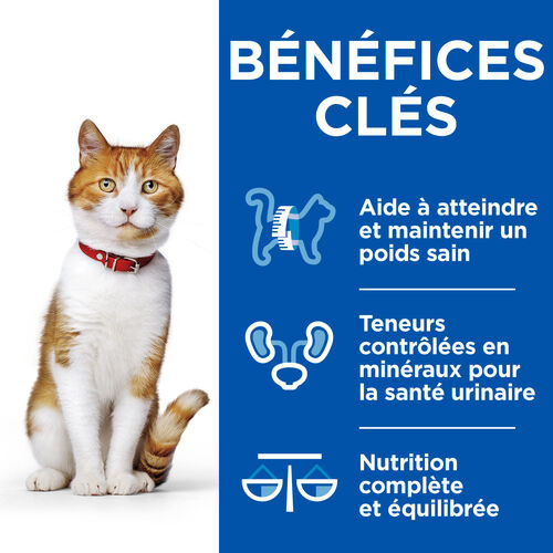 Hill's Healthy Cuisine Adult Sterilised mijoté au poulet et saumon aux légumes multipack pour chat