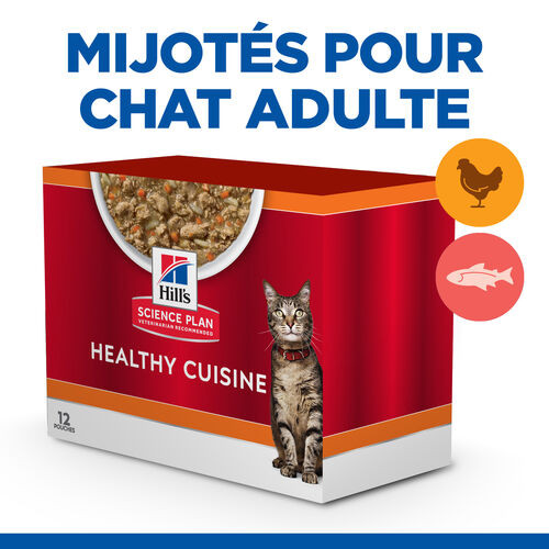 Hill's Healthy Cuisine Adult mijoté au poulet et aux légumes, au saumon et aux légumes multipack pour chat