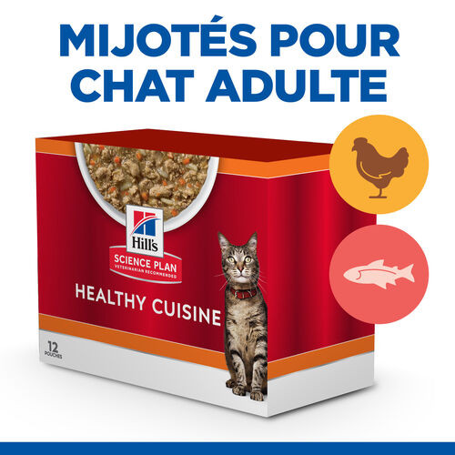 Hill's Healthy Cuisine Adult mijoté au poulet et aux légumes, au saumon et aux légumes multipack pour chat