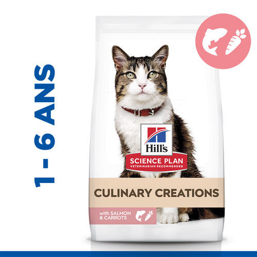 Hill's Culinary Creations Adult au saumon et à la carotte pour chat