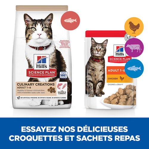 Hill's Culinary Creations Adult au saumon et à la carotte pour chat