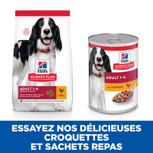 Hill's Adult poulet pour chien (boîte 370 g)