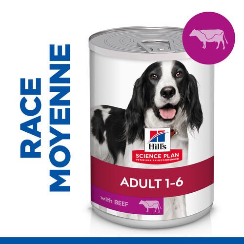 Hill's Adult au bœuf pour chien (boîte 370 g)