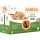 Iams Delights Adult Land Collection pâtée à la viande en sauce pour chat (12x85g)