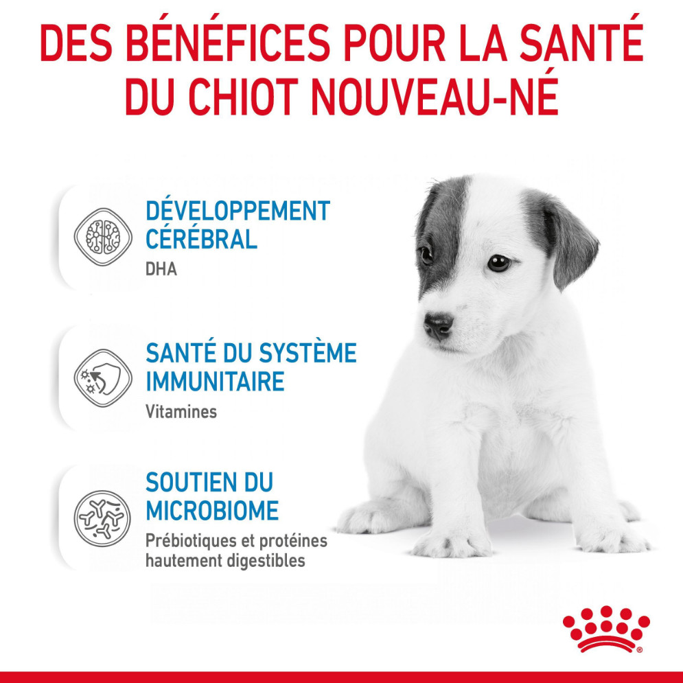 Royal Canin Babydog milk 1st Age 